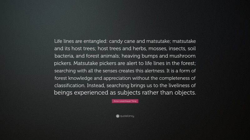 Anna Lowenhaupt Tsing Quote: “Life lines are entangled: candy cane and matsutake; matsutake and its host trees; host trees and herbs, mosses, insects, soil bacteria, and forest animals; heaving bumps and mushroom pickers. Matsutake pickers are alert to life lines in the forest; searching with all the senses creates this alertness. It is a form of forest knowledge and appreciation without the completeness of classification. Instead, searching brings us to the liveliness of beings experienced as subjects rather than objects.”