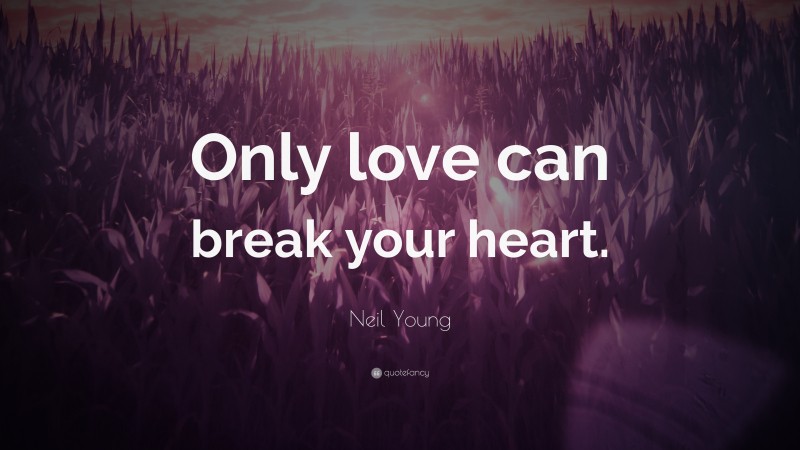 Neil Young Quote: “Only love can break your heart.”