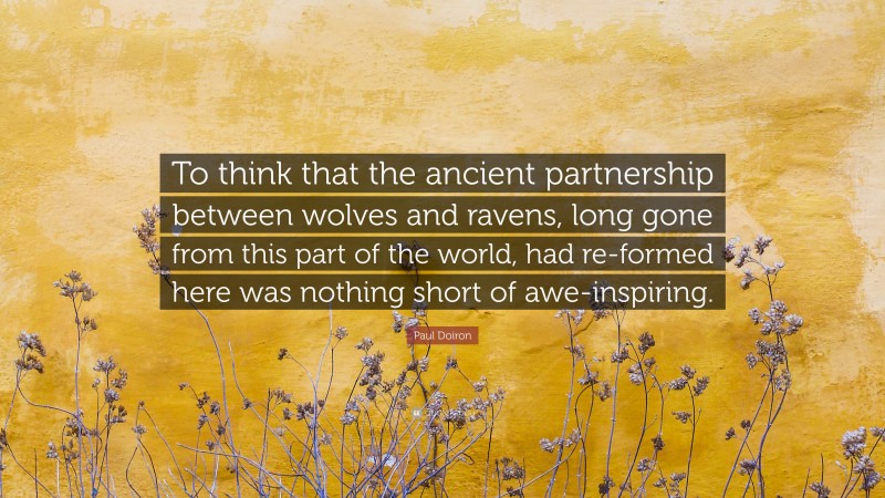 Paul Doiron Quote: “To think that the ancient partnership between wolves and ravens, long gone from this part of the world, had re-formed here was nothing short of awe-inspiring.”