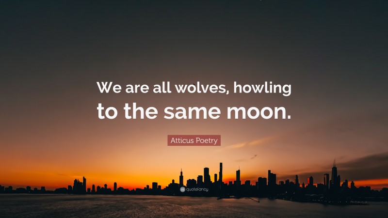 Atticus Poetry Quote: “We are all wolves, howling to the same moon.”