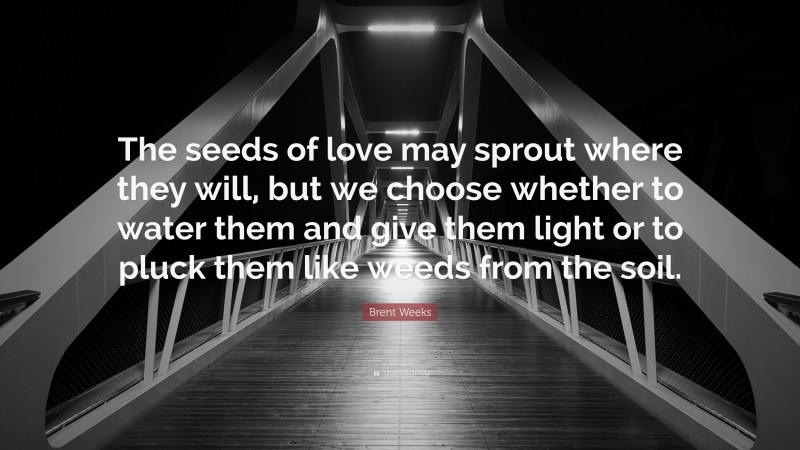 Brent Weeks Quote: “The seeds of love may sprout where they will, but we choose whether to water them and give them light or to pluck them like weeds from the soil.”