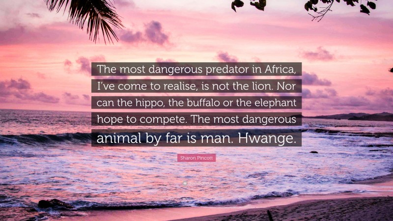 Sharon Pincott Quote: “The most dangerous predator in Africa, I’ve come to realise, is not the lion. Nor can the hippo, the buffalo or the elephant hope to compete. The most dangerous animal by far is man. Hwange.”