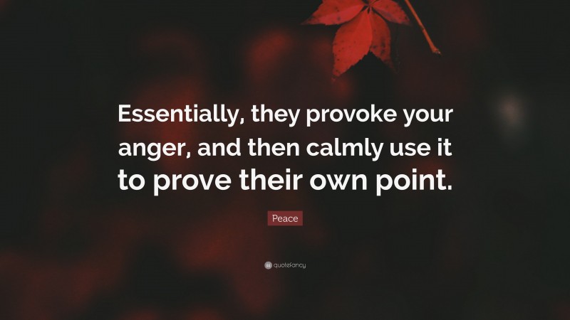 Peace Quote: “Essentially, they provoke your anger, and then calmly use it to prove their own point.”
