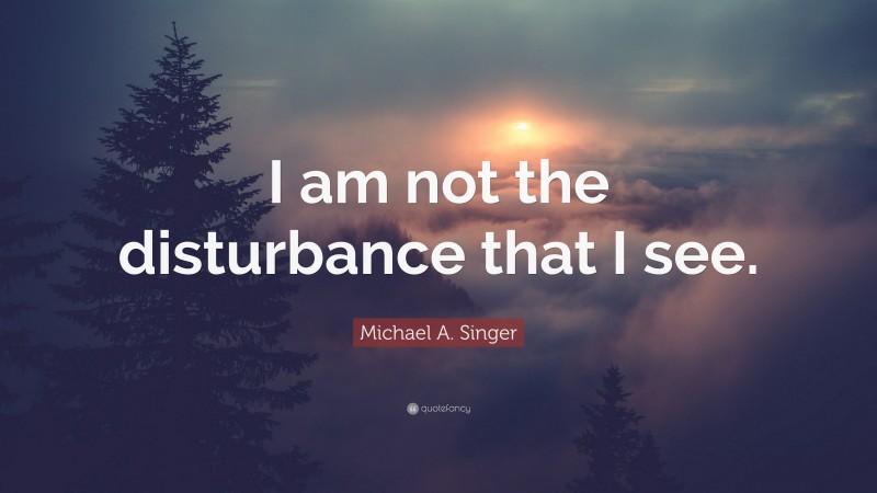 Michael A. Singer Quote: “I am not the disturbance that I see.”