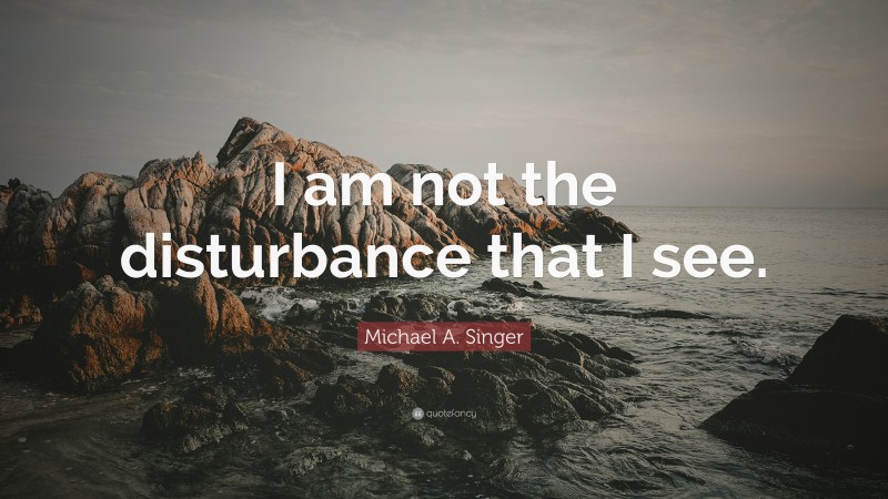 Michael A. Singer Quote: “I am not the disturbance that I see.”