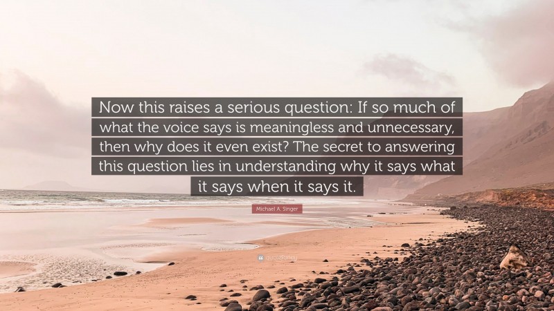 Michael A. Singer Quote: “Now this raises a serious question: If so much of what the voice says is meaningless and unnecessary, then why does it even exist? The secret to answering this question lies in understanding why it says what it says when it says it.”