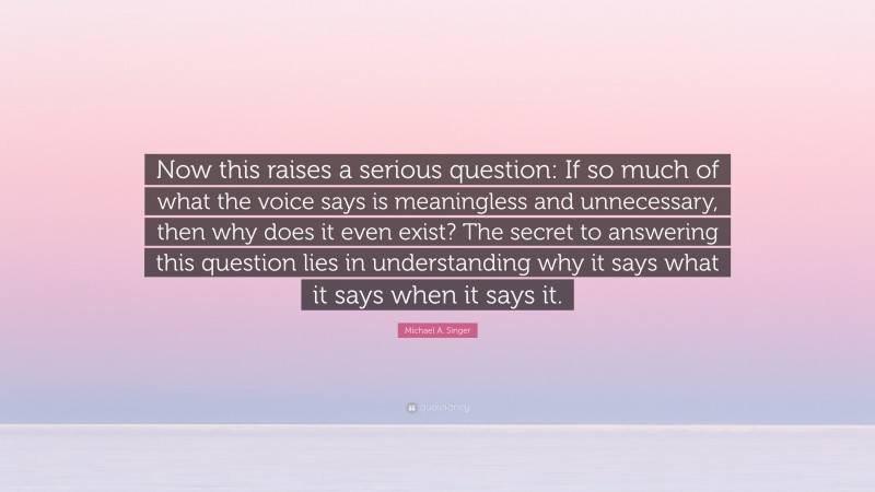 Michael A. Singer Quote: “Now this raises a serious question: If so much of what the voice says is meaningless and unnecessary, then why does it even exist? The secret to answering this question lies in understanding why it says what it says when it says it.”