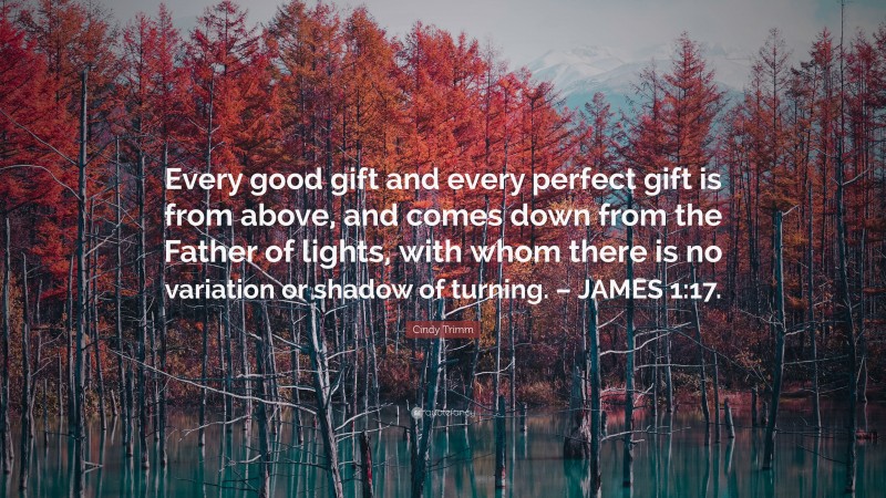 Cindy Trimm Quote: “Every good gift and every perfect gift is from above, and comes down from the Father of lights, with whom there is no variation or shadow of turning. – JAMES 1:17.”