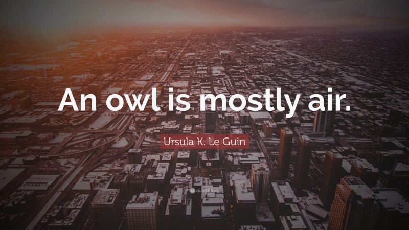 Ursula K. Le Guin Quote: “An owl is mostly air.”