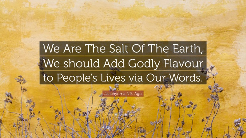 Jaachynma N.E. Agu Quote: “We Are The Salt Of The Earth, We should Add Godly Flavour to People’s Lives via Our Words.”