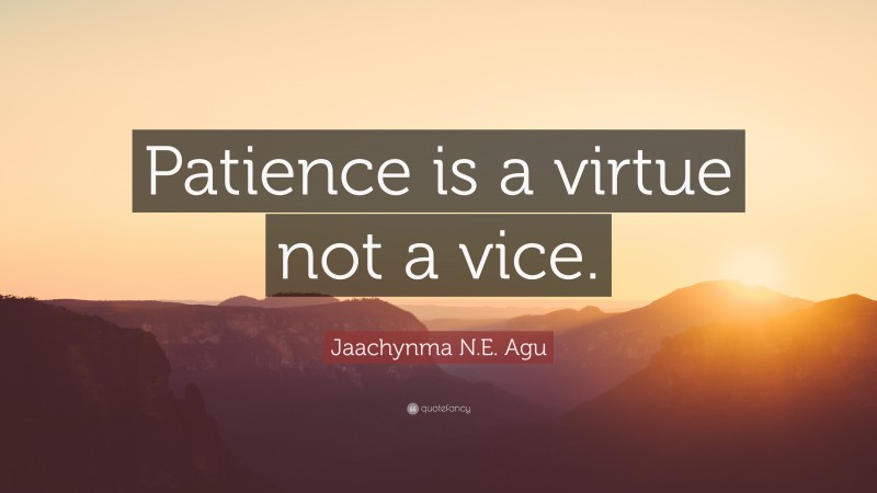 Jaachynma N.E. Agu Quote: “Patience is a virtue not a vice.”