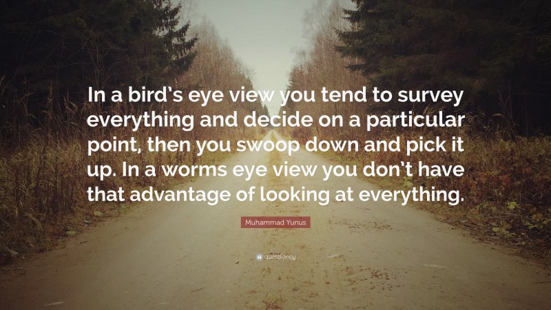 Muhammad Yunus Quote: “In a bird’s eye view you tend to survey everything and decide on a particular point, then you swoop down and pick it up. In a worms eye view you don’t have that advantage of looking at everything.”