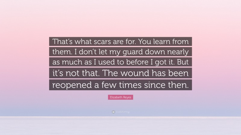 Elizabeth Reyes Quote: “That’s what scars are for. You learn from them. I don’t let my guard down nearly as much as I used to before I got it. But it’s not that. The wound has been reopened a few times since then.”