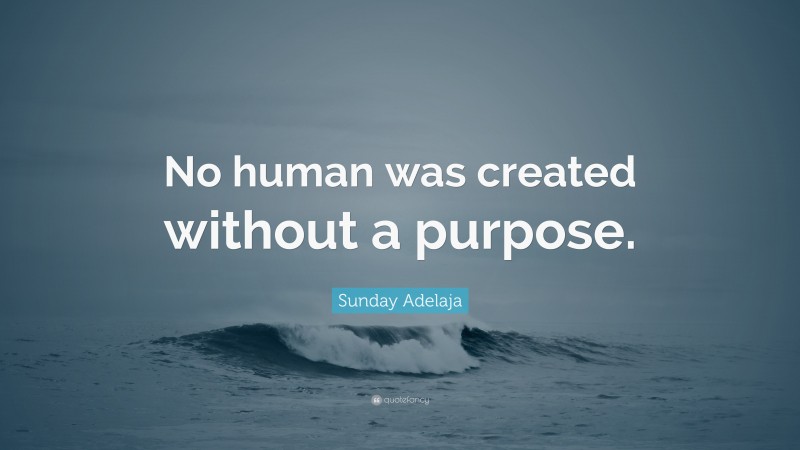 Sunday Adelaja Quote: “No human was created without a purpose.”