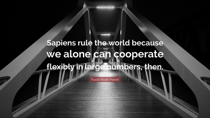 Yuval Noah Harari Quote: “Sapiens rule the world because we alone can cooperate flexibly in large numbers, then.”