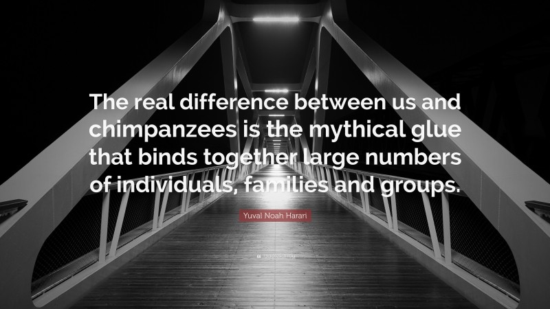 Yuval Noah Harari Quote: “The real difference between us and chimpanzees is the mythical glue that binds together large numbers of individuals, families and groups.”