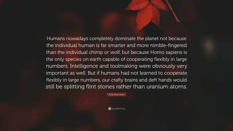 Yuval Noah Harari Quote: “Humans nowadays completely dominate the planet not because the individual human is far smarter and more nimble-fingered than the individual chimp or wolf, but because Homo sapiens is the only species on earth capable of cooperating flexibly in large numbers. Intelligence and toolmaking were obviously very important as well. But if humans had not learned to cooperate flexibly in large numbers, our crafty brains and deft hands would still be splitting flint stones rather than uranium atoms.”