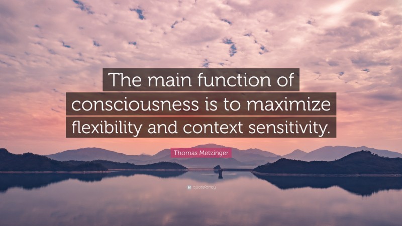 Thomas Metzinger Quote: “The main function of consciousness is to maximize flexibility and context sensitivity.”