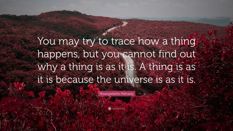 Nisargadatta Maharaj Quote: “You may try to trace how a thing happens, but you cannot find out why a thing is as it is. A thing is as it is because the universe is as it is.”