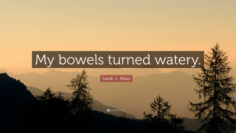 Sarah J. Maas Quote: “My bowels turned watery.”
