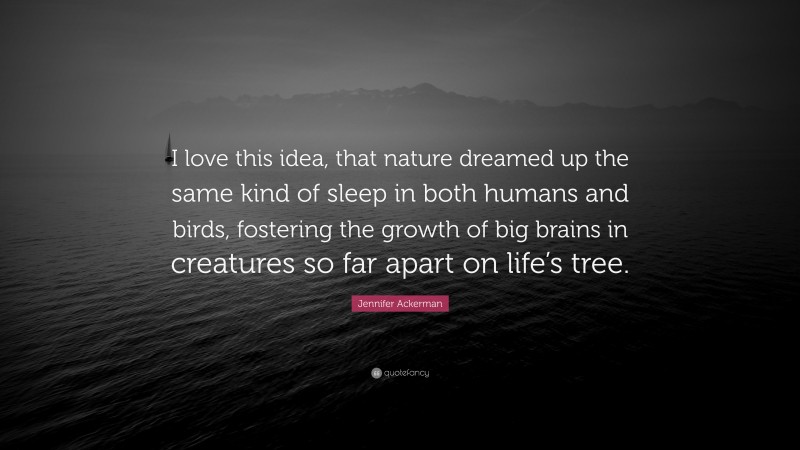 Jennifer Ackerman Quote: “I love this idea, that nature dreamed up the same kind of sleep in both humans and birds, fostering the growth of big brains in creatures so far apart on life’s tree.”