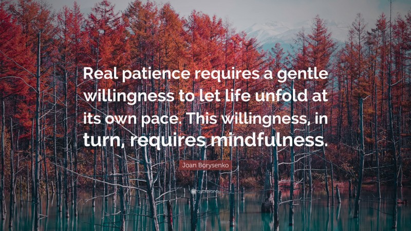 Joan Borysenko Quote: “Real patience requires a gentle willingness to let life unfold at its own pace. This willingness, in turn, requires mindfulness.”