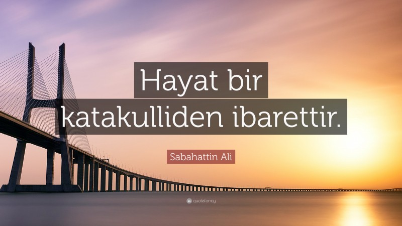 Sabahattin Ali Quote: “Hayat bir katakulliden ibarettir.”