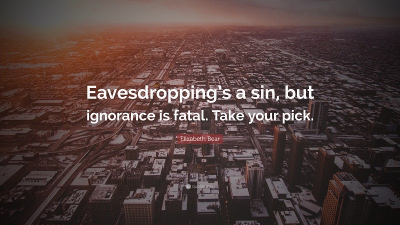 Elizabeth Bear Quote: “Eavesdropping’s a sin, but ignorance is fatal. Take your pick.”