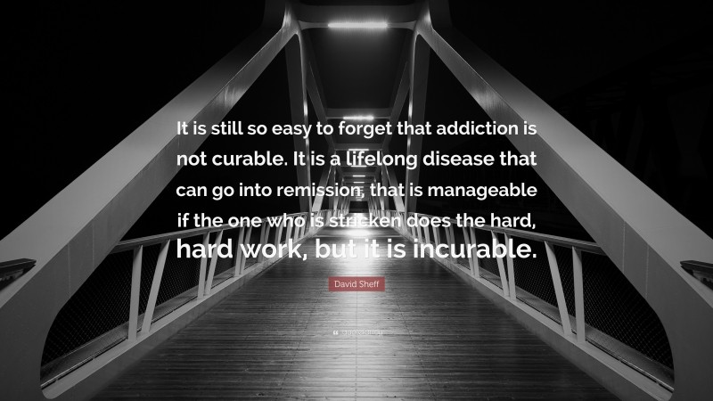 David Sheff Quote: “It is still so easy to forget that addiction is not curable. It is a lifelong disease that can go into remission, that is manageable if the one who is stricken does the hard, hard work, but it is incurable.”