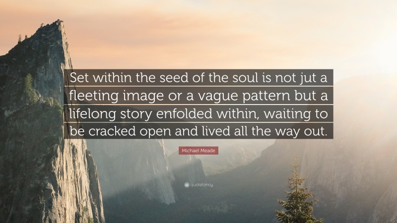 Michael Meade Quote: “Set within the seed of the soul is not jut a fleeting image or a vague pattern but a lifelong story enfolded within, waiting to be cracked open and lived all the way out.”