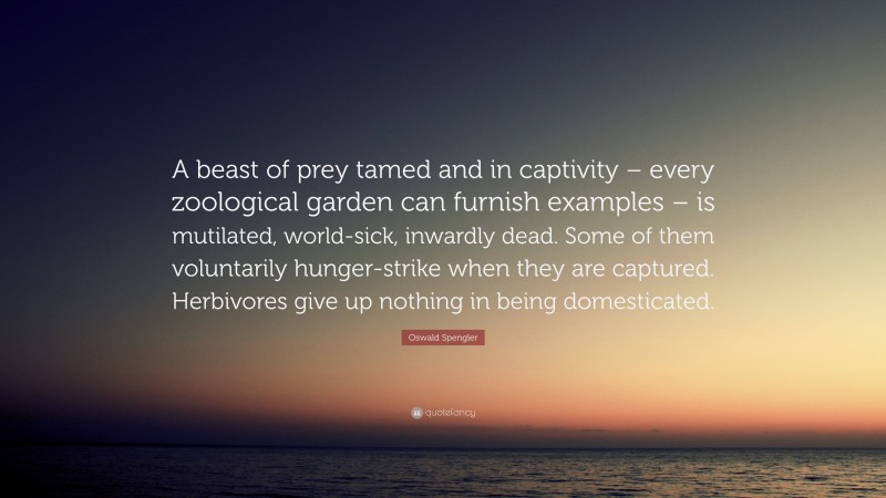 Oswald Spengler Quote: “A beast of prey tamed and in captivity – every zoological garden can furnish examples – is mutilated, world-sick, inwardly dead. Some of them voluntarily hunger-strike when they are captured. Herbivores give up nothing in being domesticated.”