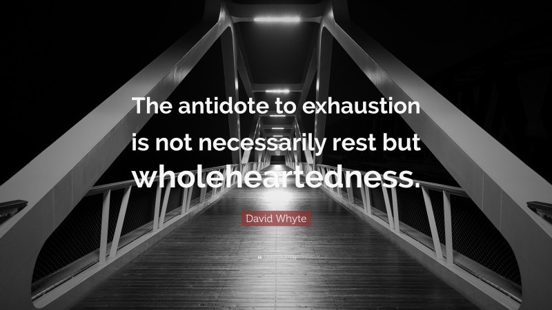 David Whyte Quote: “The antidote to exhaustion is not necessarily rest but wholeheartedness.”