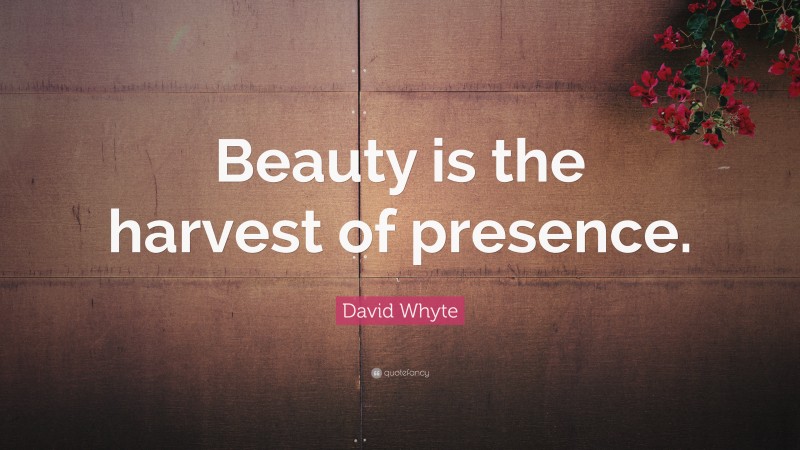 David Whyte Quote: “Beauty is the harvest of presence.”