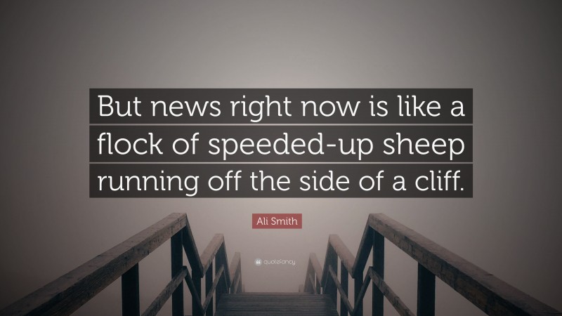 Ali Smith Quote: “But news right now is like a flock of speeded-up sheep running off the side of a cliff.”