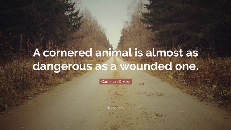 Cameron Dokey Quote: “A cornered animal is almost as dangerous as a wounded one.”