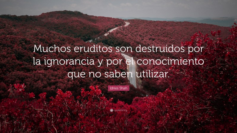 Idries Shah Quote: “Muchos eruditos son destruidos por la ignorancia y por el conocimiento que no saben utilizar.”