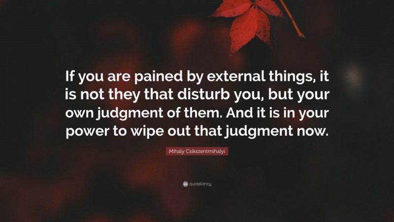 Mihaly Csikszentmihalyi Quote: “If you are pained by external things, it is not they that disturb you, but your own judgment of them. And it is in your power to wipe out that judgment now.”