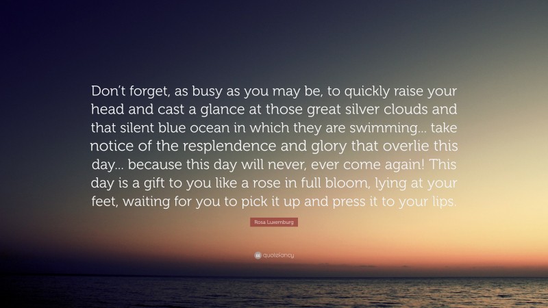 Rosa Luxemburg Quote: “Don’t forget, as busy as you may be, to quickly raise your head and cast a glance at those great silver clouds and that silent blue ocean in which they are swimming... take notice of the resplendence and glory that overlie this day... because this day will never, ever come again! This day is a gift to you like a rose in full bloom, lying at your feet, waiting for you to pick it up and press it to your lips.”