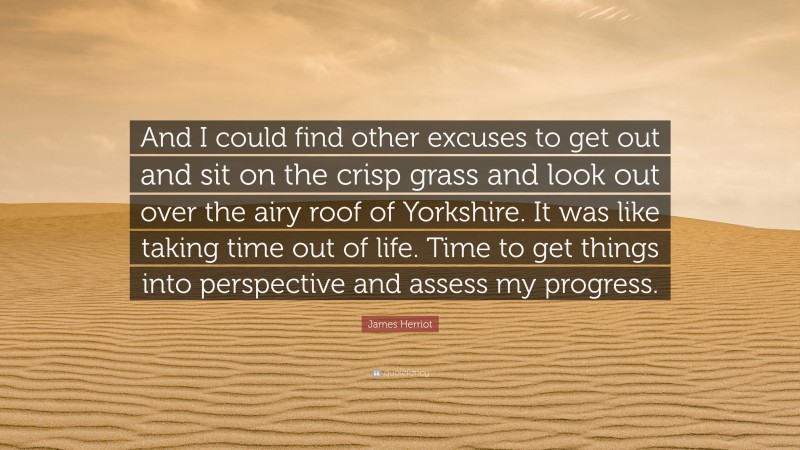 James Herriot Quote: “And I could find other excuses to get out and sit on the crisp grass and look out over the airy roof of Yorkshire. It was like taking time out of life. Time to get things into perspective and assess my progress.”