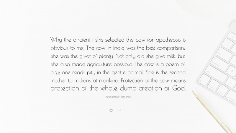 Paramahansa Yogananda Quote: “Why the ancient rishis selected the cow for apotheosis is obvious to me. The cow in India was the best comparison; she was the giver of plenty. Not only did she give milk, but she also made agriculture possible. The cow is a poem of pity; one reads pity in the gentle animal. She is the second mother to millions of mankind. Protection of the cow means protection of the whole dumb creation of God.”