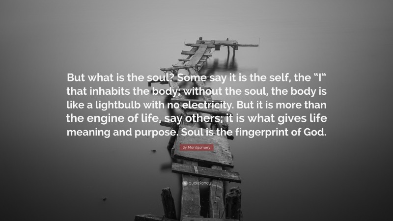 Sy Montgomery Quote: “But what is the soul? Some say it is the self, the “I” that inhabits the body; without the soul, the body is like a lightbulb with no electricity. But it is more than the engine of life, say others; it is what gives life meaning and purpose. Soul is the fingerprint of God.”