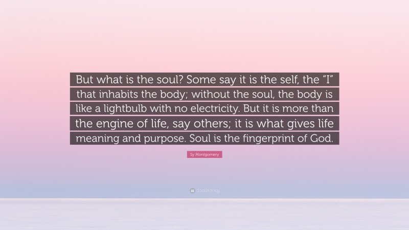 Sy Montgomery Quote: “But what is the soul? Some say it is the self, the “I” that inhabits the body; without the soul, the body is like a lightbulb with no electricity. But it is more than the engine of life, say others; it is what gives life meaning and purpose. Soul is the fingerprint of God.”