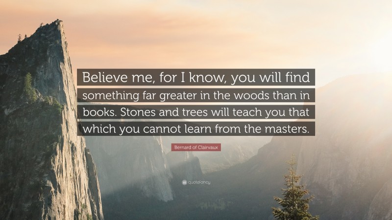 Bernard of Clairvaux Quote: “Believe me, for I know, you will find something far greater in the woods than in books. Stones and trees will teach you that which you cannot learn from the masters.”