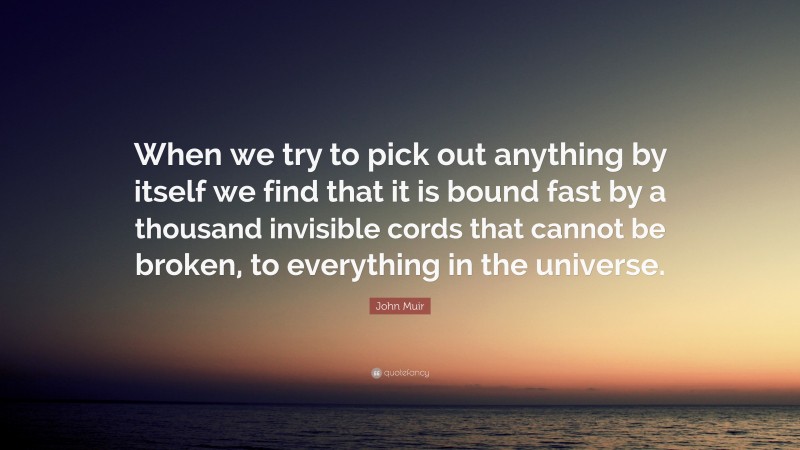 John Muir Quote: “When we try to pick out anything by itself we find that it is bound fast by a thousand invisible cords that cannot be broken, to everything in the universe.”