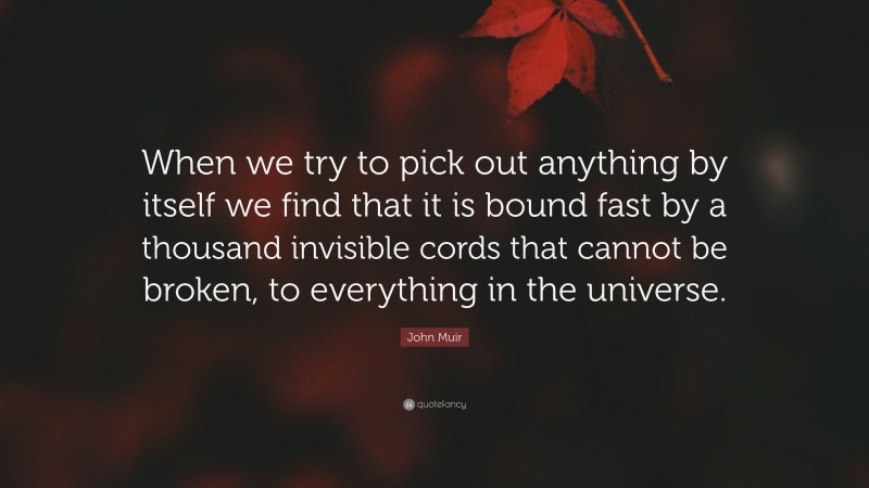 John Muir Quote: “When we try to pick out anything by itself we find that it is bound fast by a thousand invisible cords that cannot be broken, to everything in the universe.”