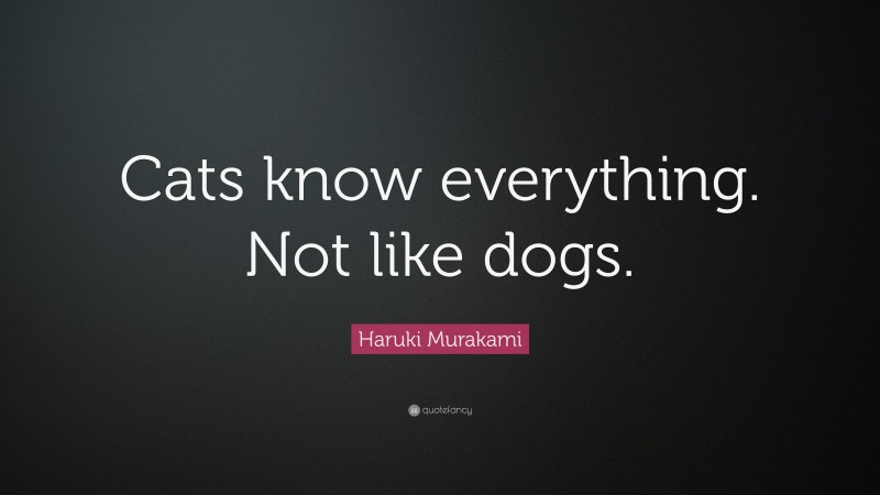 Haruki Murakami Quote: “Cats know everything. Not like dogs.”