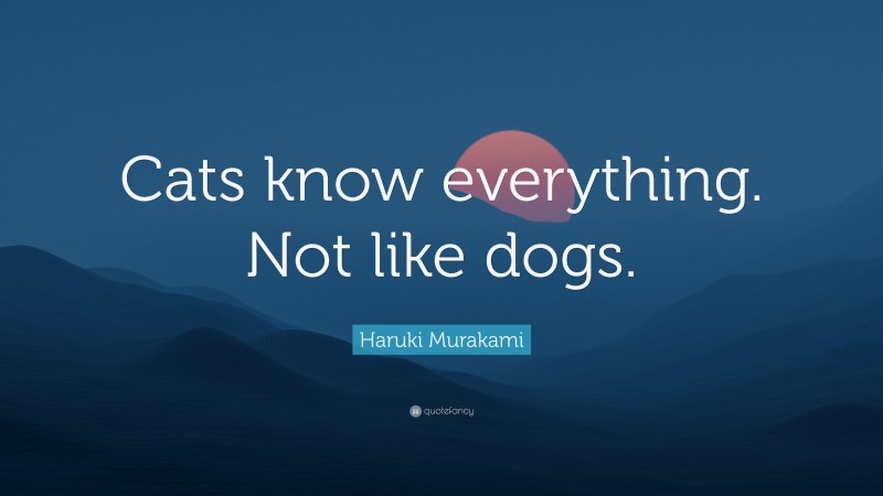 Haruki Murakami Quote: “Cats know everything. Not like dogs.”