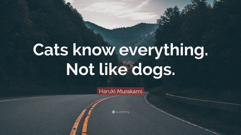 Haruki Murakami Quote: “Cats know everything. Not like dogs.”