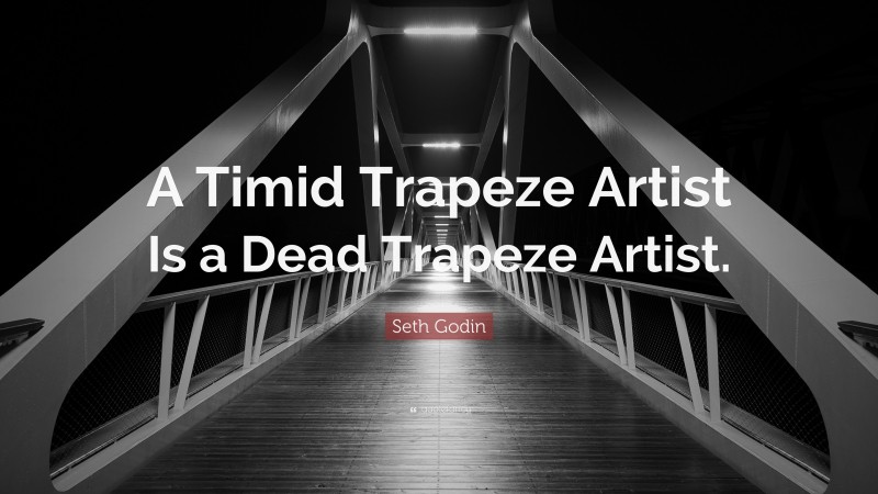 Seth Godin Quote: “A Timid Trapeze Artist Is a Dead Trapeze Artist.”