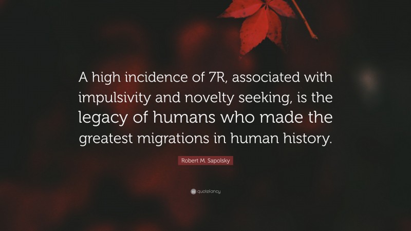 Robert M. Sapolsky Quote: “A high incidence of 7R, associated with impulsivity and novelty seeking, is the legacy of humans who made the greatest migrations in human history.”